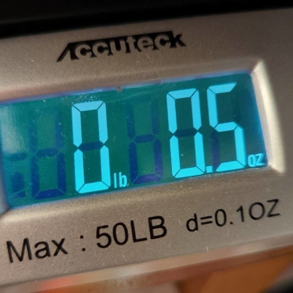 Alex and Ani Bangle Bracelet Northern Original Directional Charms 2020 - Picture 7 of 8